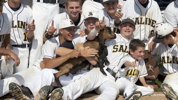 salinegoat.jpg